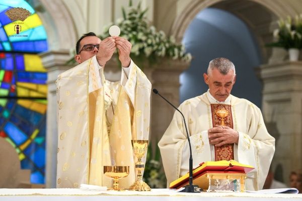 batch 281032853 1642894736073632 1856751485090262674 n