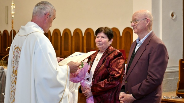 batch 278956766 1628515380844901 6932173376210693625 n